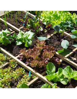 Préparer son jardin et son potager pour l'hiver en 5 étapes