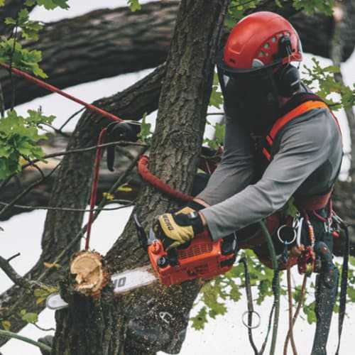 Élagueuse CS303T Echo, un très bon rapport qualité prix