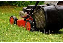 Quelles sont les meilleurs horaires pour tondre sa pelouse ?